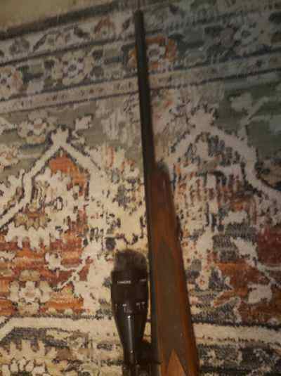 Winchester model 70 30.06