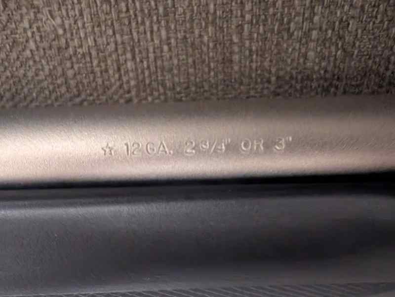 shotgun3.jpg