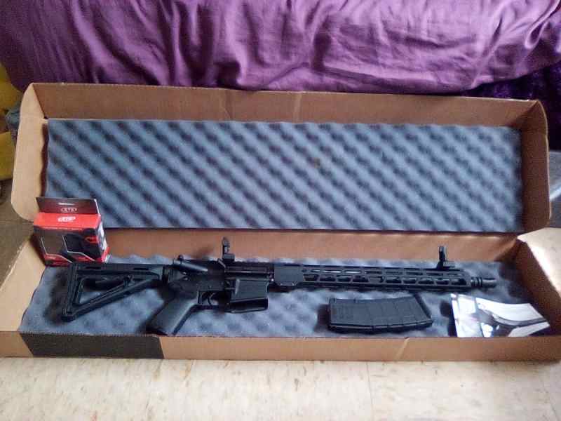 Diamondback  DB15  with 45°offset sight &amp; ammo