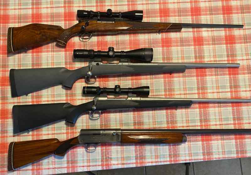 **LOOK** Safe Cleanout*Weatherby*Savage*Remington*