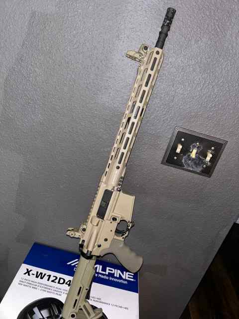 WTS FDE 16” AR 5.56