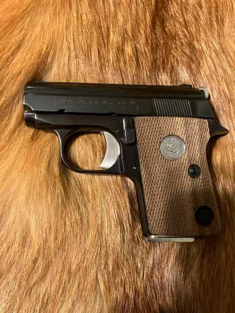 COLT JUNIOR 25ACP MIGHTY MOUSE CARRY PISTOL
