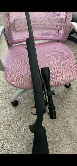 Remington 700 .308 